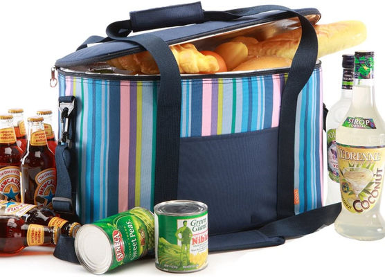25L Insulated Cooler Bags Collapsible Soft Insulated Picnic Bag